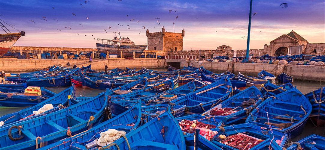 The port of the city of Essaouira