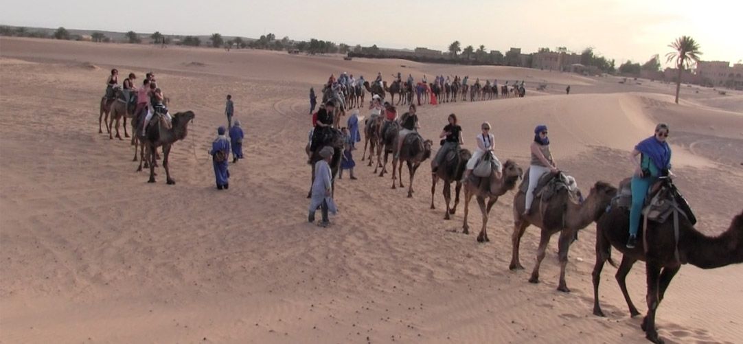Paseo en camello por el desierto de zagora