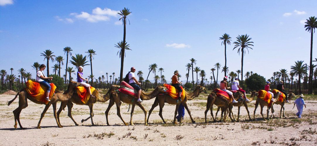 balade ride chameau camel palmeraie marrakech